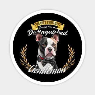 The Distinguished Staffordshire Gentleman Magnet